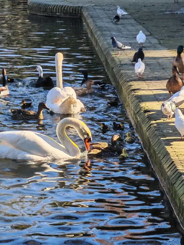 Spain 3k+ per capita for 3 days to explore landmark attractions