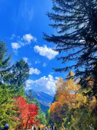 10月賞秋米亞羅彩林徒步一日遊快衝
