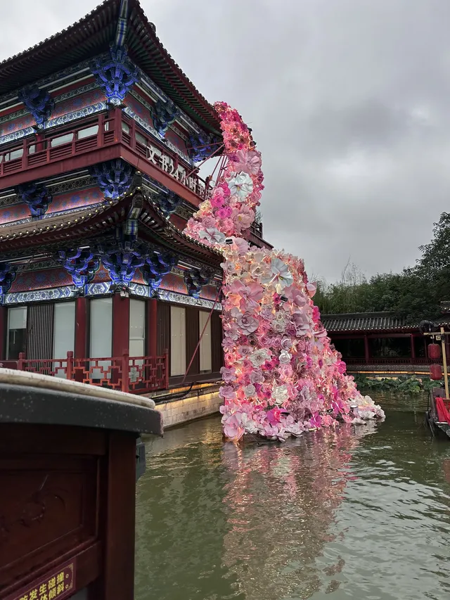 我發現了在開封不用暴走的輕鬆賞菊玩法