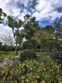 滬上秋韻 | 邂逅唐城文化公園的斑斕景色