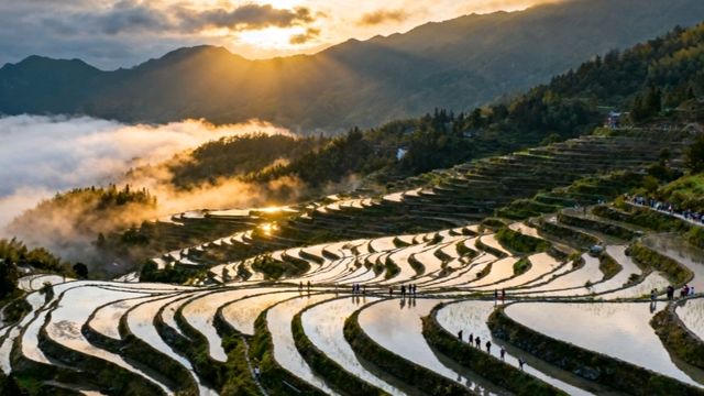 雲和梯田太絕了！浙江的神仙秘境