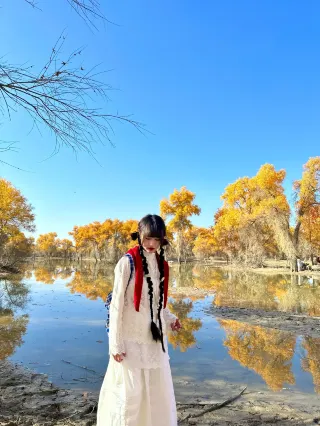Tarim Luntai Populus Euphratica Forest｜Don't be too beautiful