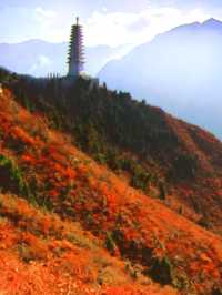 重慶三峽在紅葉漫江時邂逅最詩意的長江