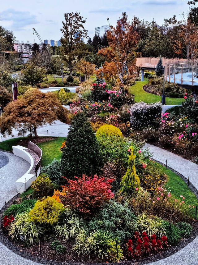 空中步廊俯瞰花草描繪的彩色大地。