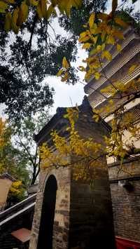 秋日去小雁塔感受歷史的厚重與自然和諧交融吧