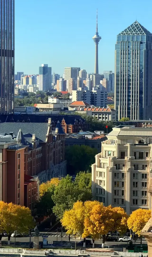 Qingdao's late autumn limited shots are absolutely stunning!