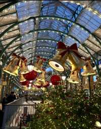 芬蘭極光下遇見聖誕老人！這座童話小鎮美哭了