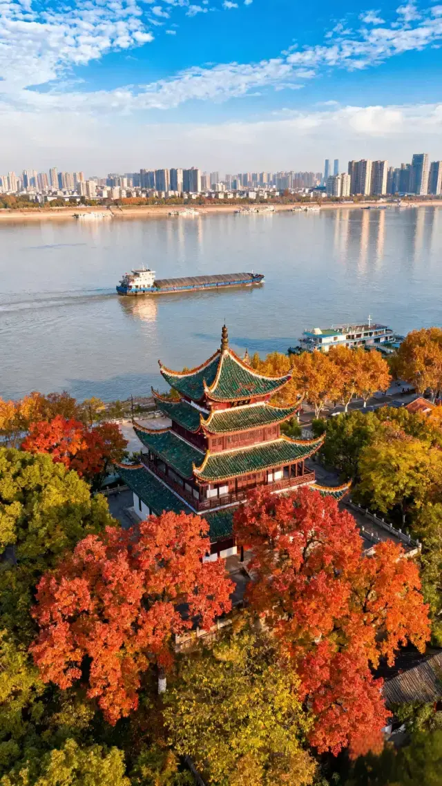 Wuhan Autumn Hankou Riverside Park Guide｜Unlock the Autumn-Only Romance Along the Yangtze River Shoreline