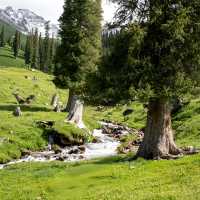 推薦一個超級美的地方……