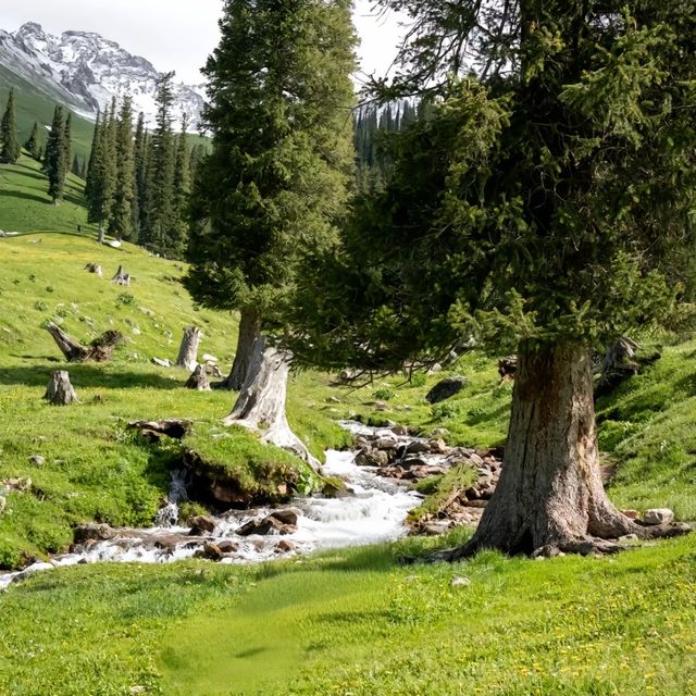 推薦一個超級美的地方……