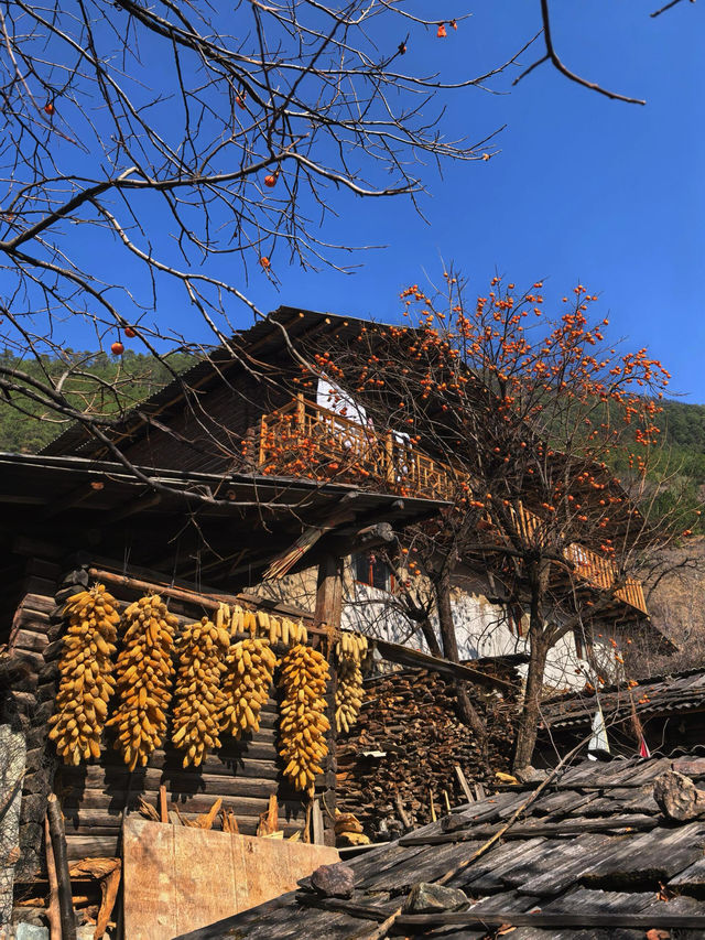 傈僳族古寨的千年密碼與秘境指南 傈僳族古寨的千年密碼與秘境指南