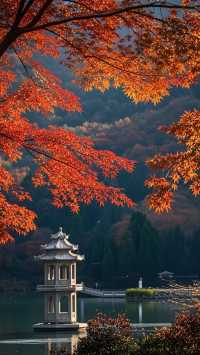 濟南秋色醉美紅妝