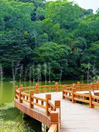 深圳人的小阿勒泰！恩上濕地公園太絕了