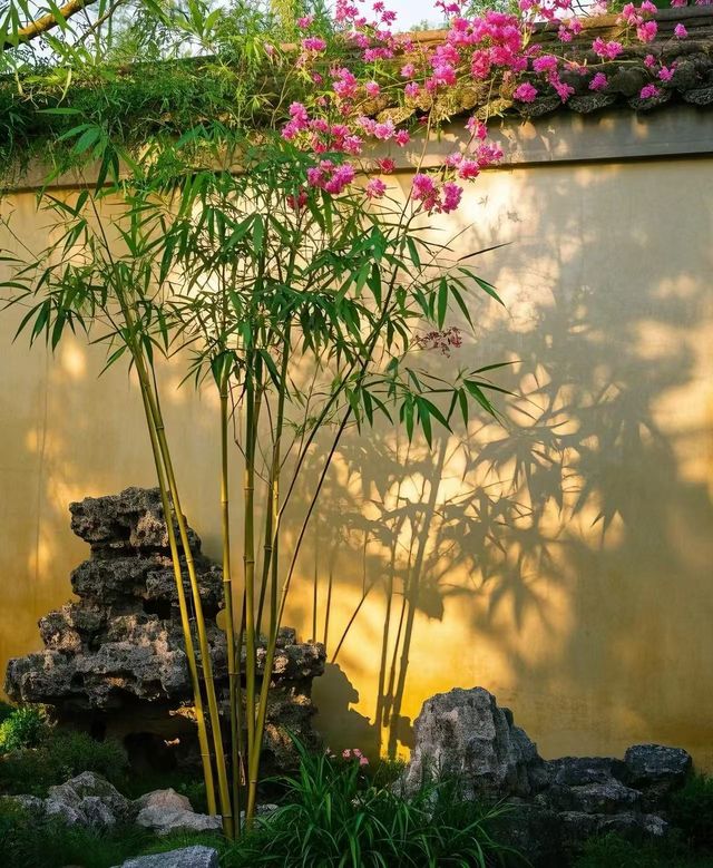 免費洗衣房專為奔波在外的你準備,鴻達酒店 免費洗衣房專為奔波在外的你準備,鴻達酒店