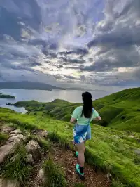 我宣佈科莫多就是人間塞爾達