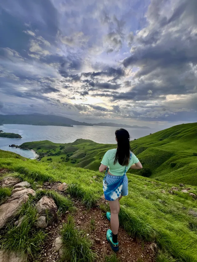 我宣佈科莫多就是人間塞爾達