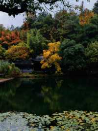 景德鎮剛回來,唯一沒踩雷超出預期的景點