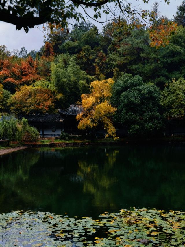 景德鎮剛回來,唯一沒踩雷超出預期的景點 景德鎮剛回來,唯一沒踩雷超出預期的景點