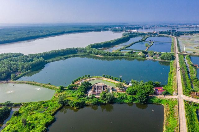 反向遊寶藏地：藏在雷州半島的嵐南村超海宮，煙火與信仰的治癒