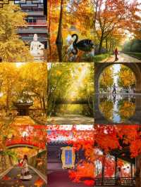 明孝陵2日遊攻略