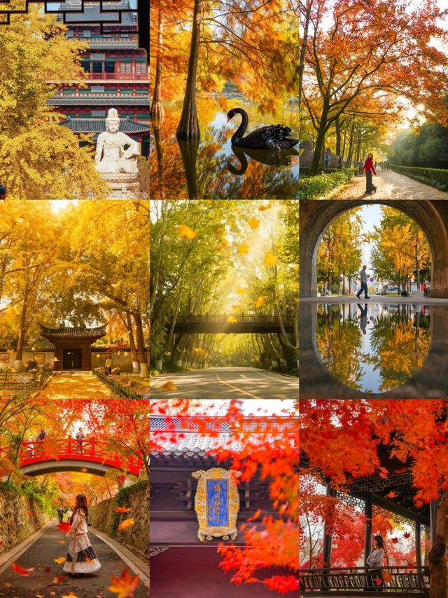 明孝陵2日遊攻略