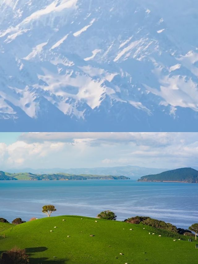 純淨星球終極體驗