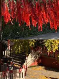 南京銀杏天花板毗盧寺金色風暴美到窒息！