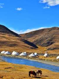 川西秋日封神！每一幀都像闖進油畫裡