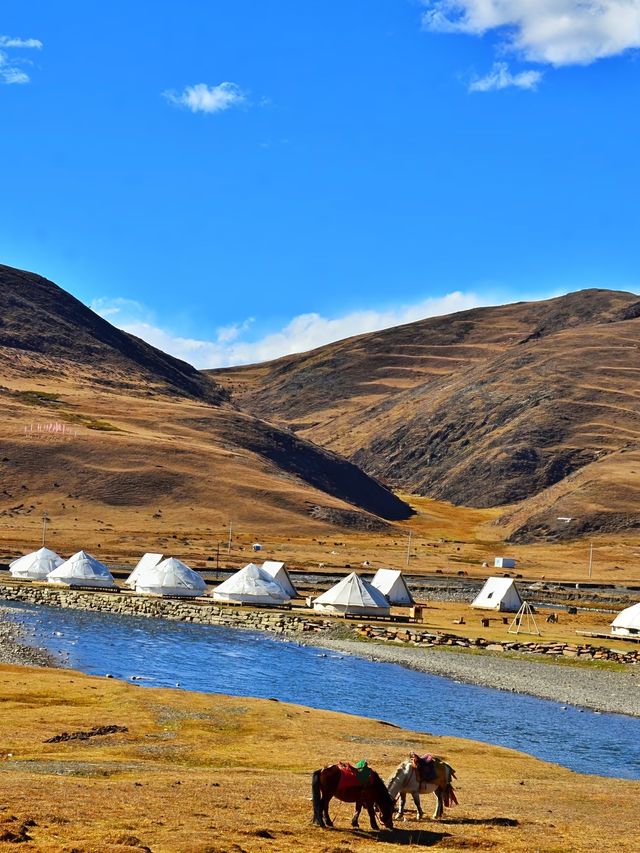 川西秋日封神！每一幀都像闖進油畫裡