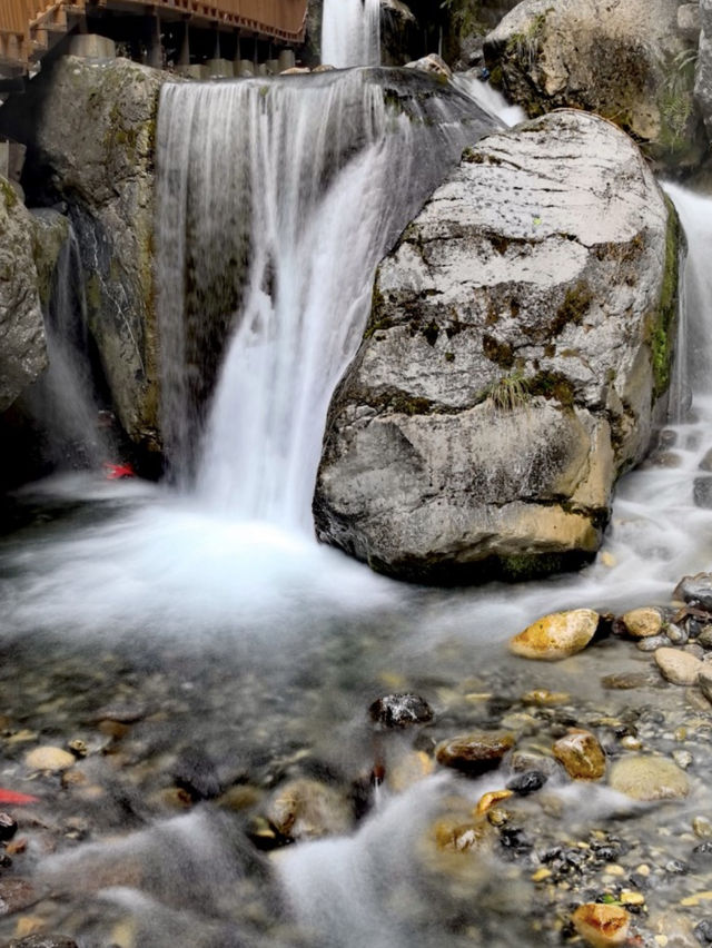 絕美仙境甘南扎尕那｜雲霧繚繞的隱世秘境