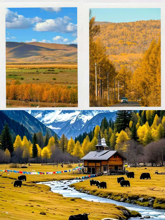 秋色中國｜承包你一整個秋天的詩意！