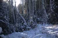 8天小眾路線，帶你走進童話世界