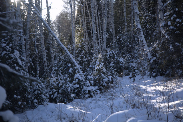 8天小眾路線，帶你走進童話世界