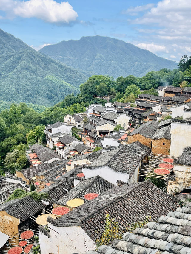 篁嶺的秋色……/與遼寧美女同行