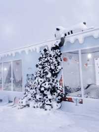 成都西嶺，超適合親子的低海拔雪山附攻略