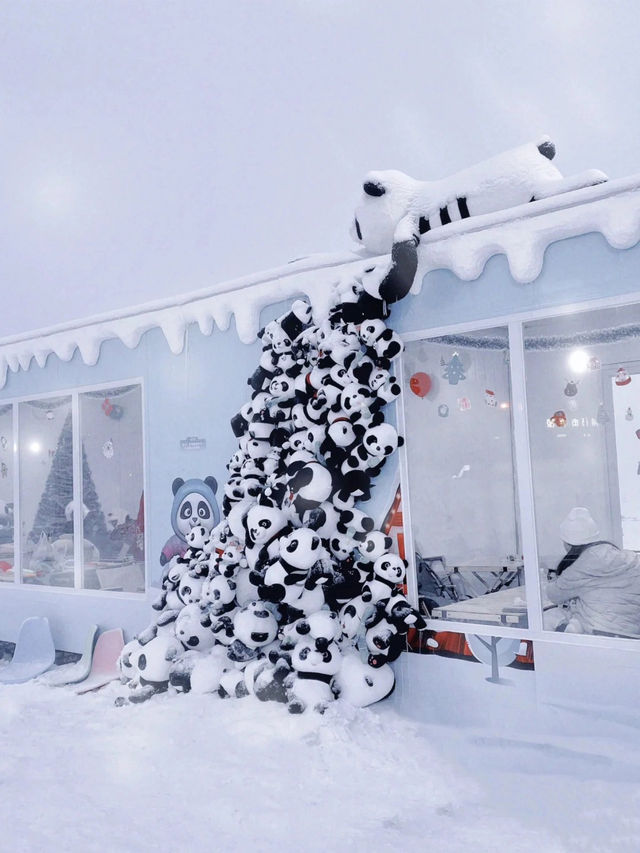 成都西嶺，超適合親子的低海拔雪山附攻略