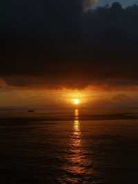 椰子林與海的完美邂逅