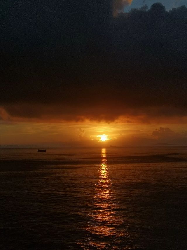 椰子林與海的完美邂逅