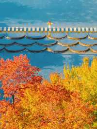 江西賞秋寶藏地