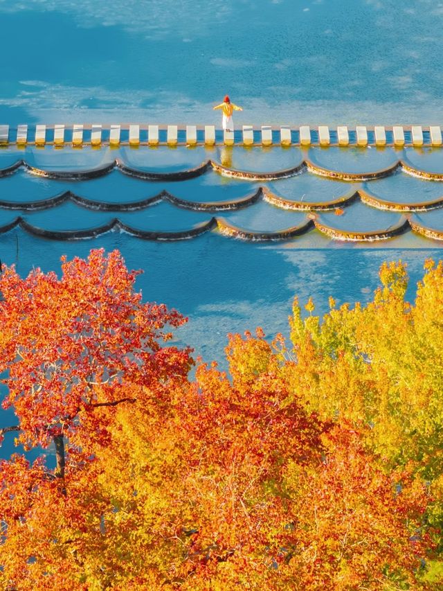 江西賞秋寶藏地