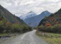 平武沙棘溝彩林形成了,付攻略!