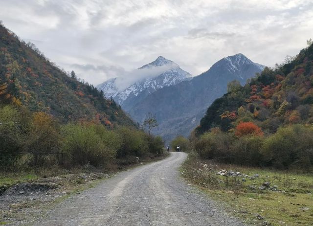 平武沙棘溝彩林形成了,付攻略! 平武沙棘溝彩林形成了,付攻略!