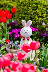 鹽城新秘境｜荷蘭花海：穿越歐式童話的浪漫風暴