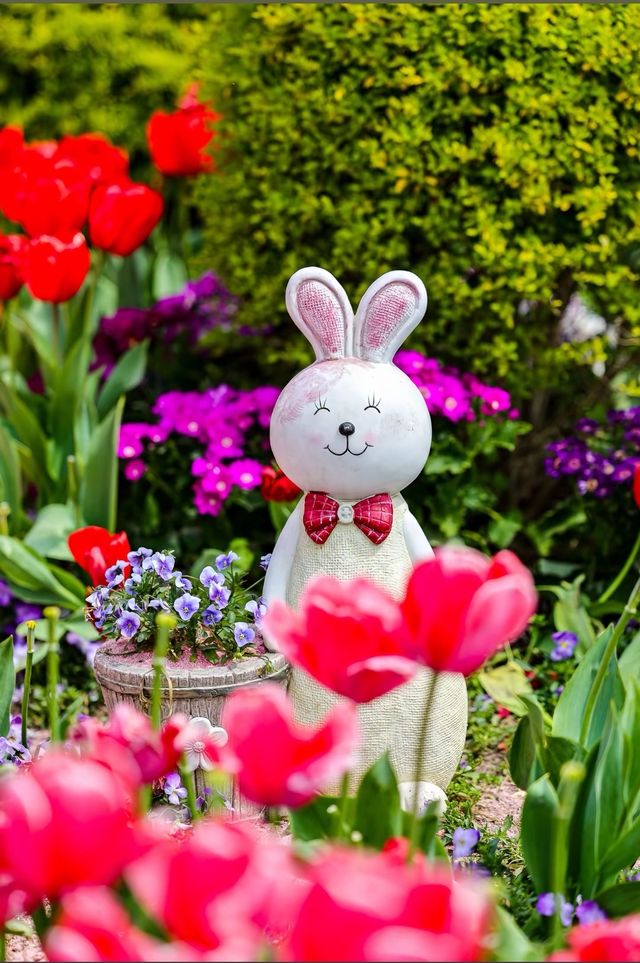 鹽城新秘境｜荷蘭花海：穿越歐式童話的浪漫風暴