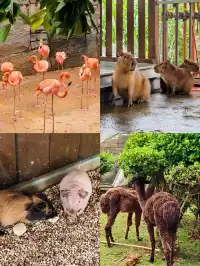 陵水親子酒店天花板現實版童話宮殿