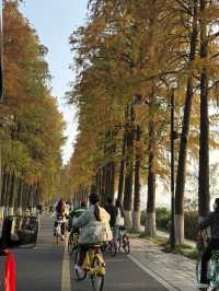 武漢 / 東湖景區