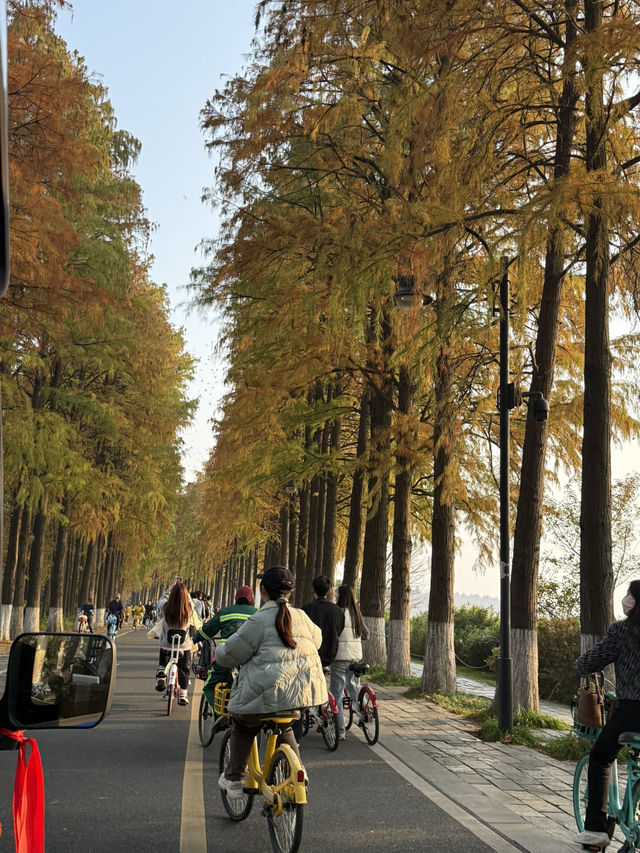 武漢 / 東湖景區