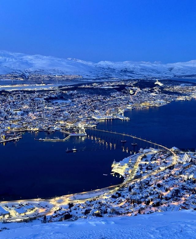 被極光親吻過的北國淨土，雪峰與森林交織成花卷。—挪威