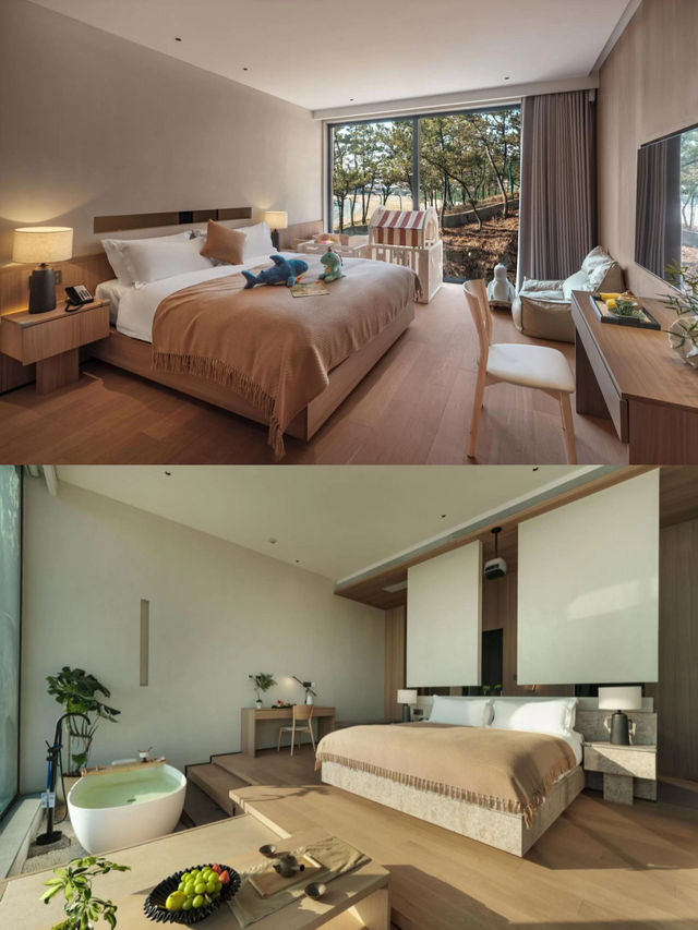 崂山海邊私藏!推窗見海的治癒系山居 崂山海邊私藏!推窗見海的治癒系山居