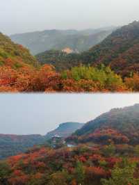 鄭州1h直達！0元賞紅葉的“小長城”美哭了